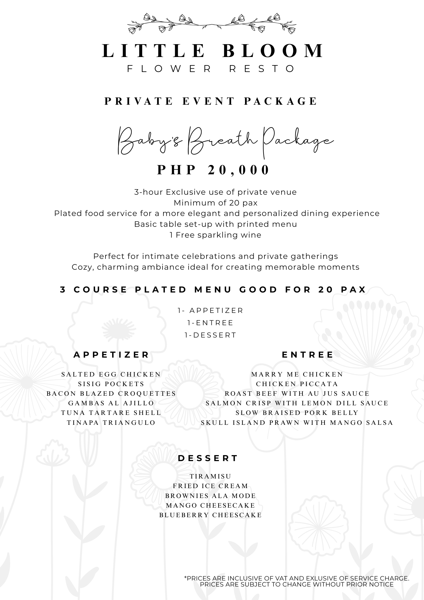BABY'S BREATH PACKAGE