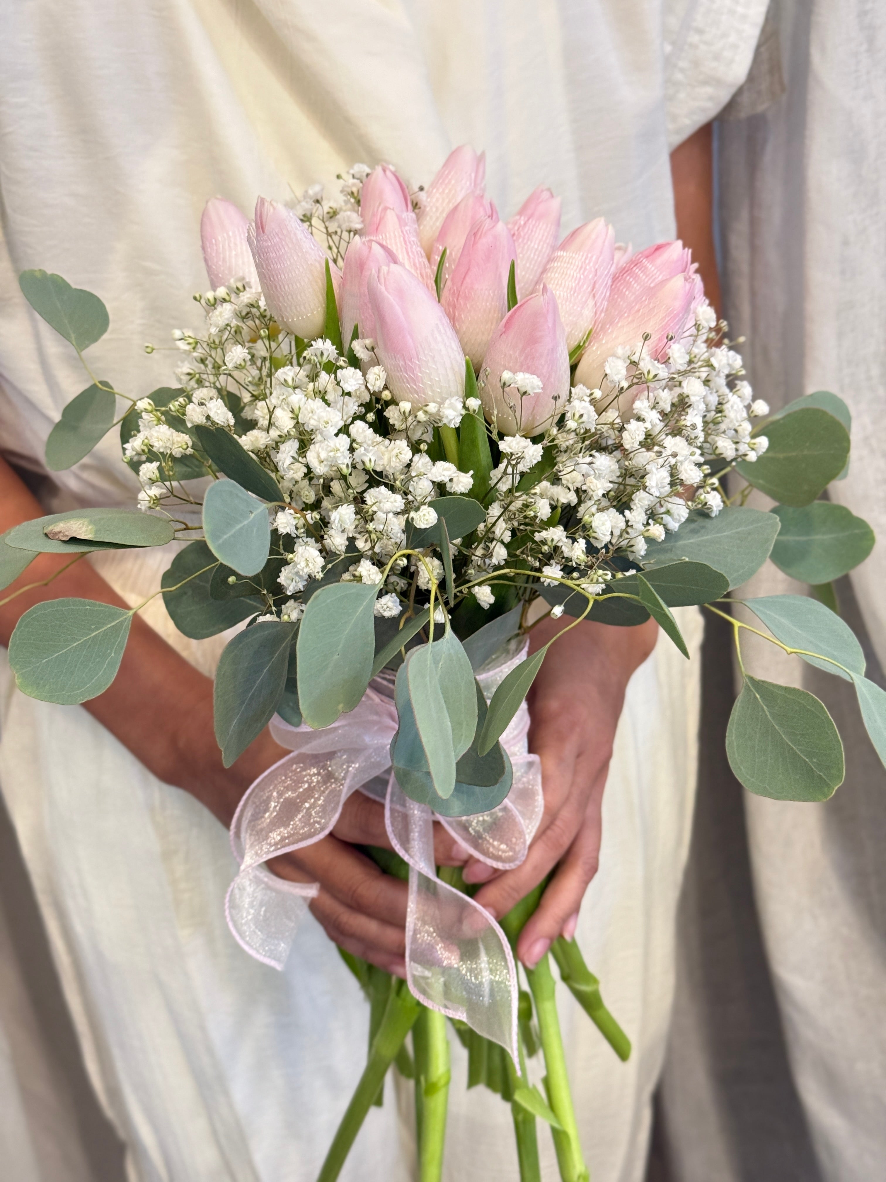 Tulips Blossom