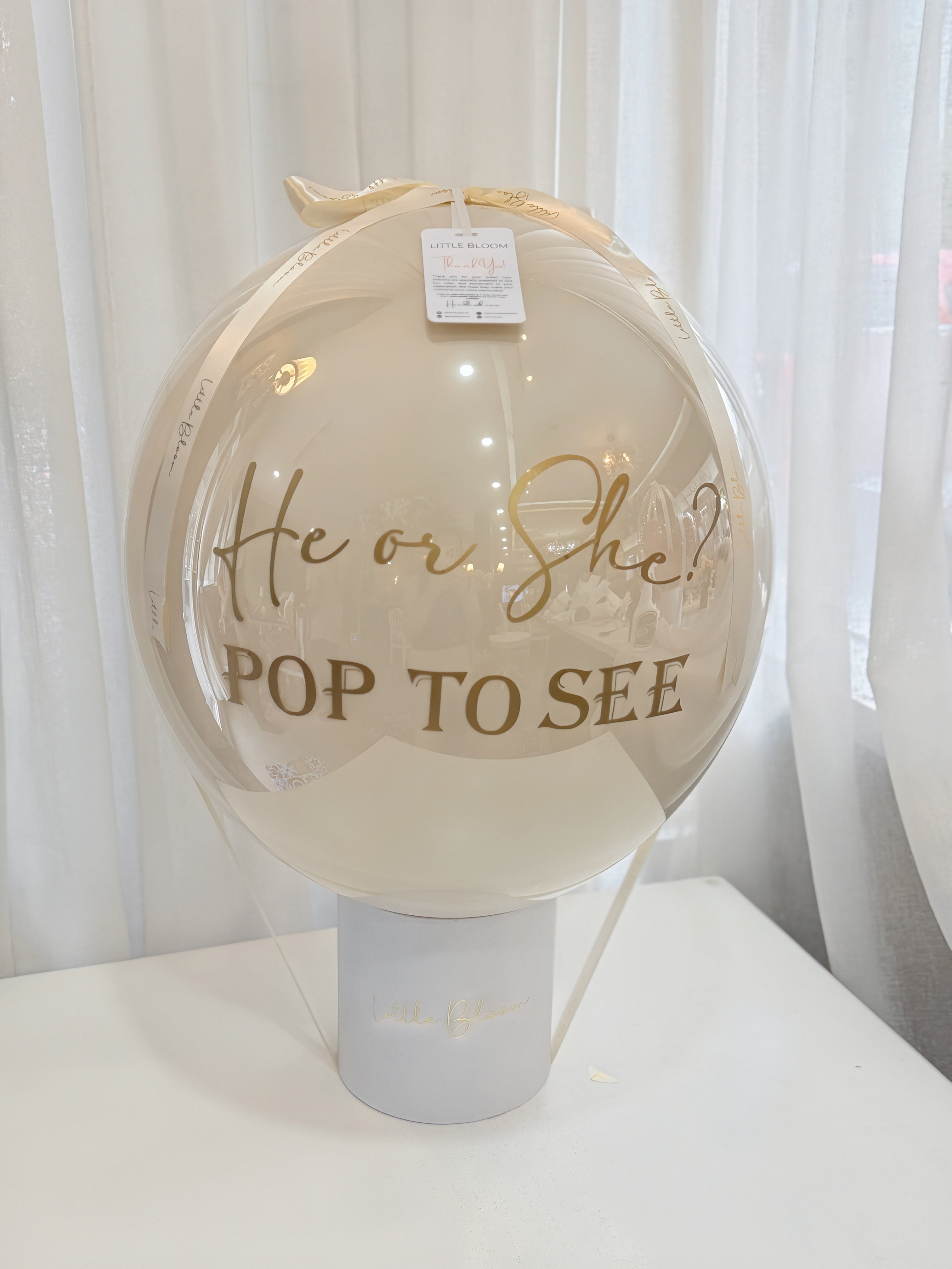 He or She? Let’s See!