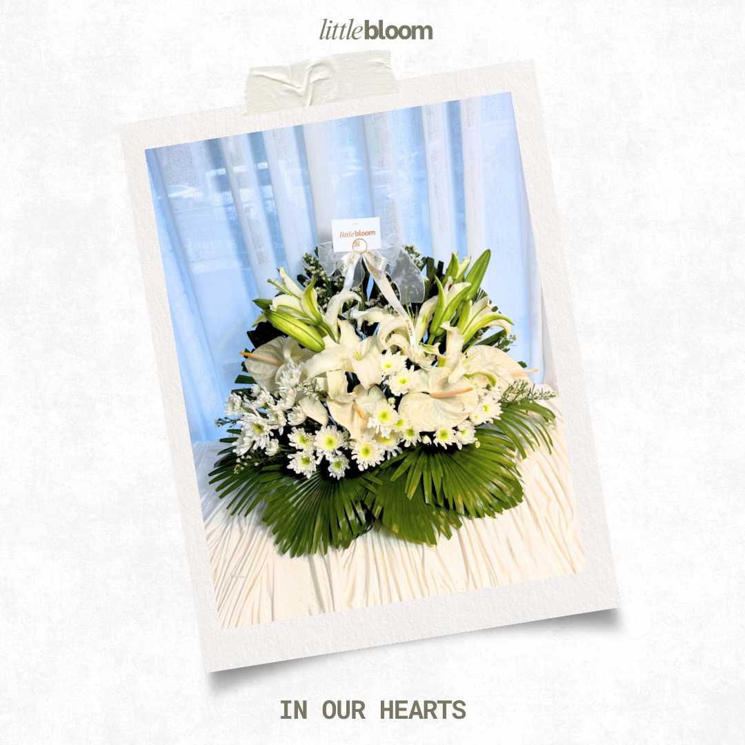 In Our Hearts