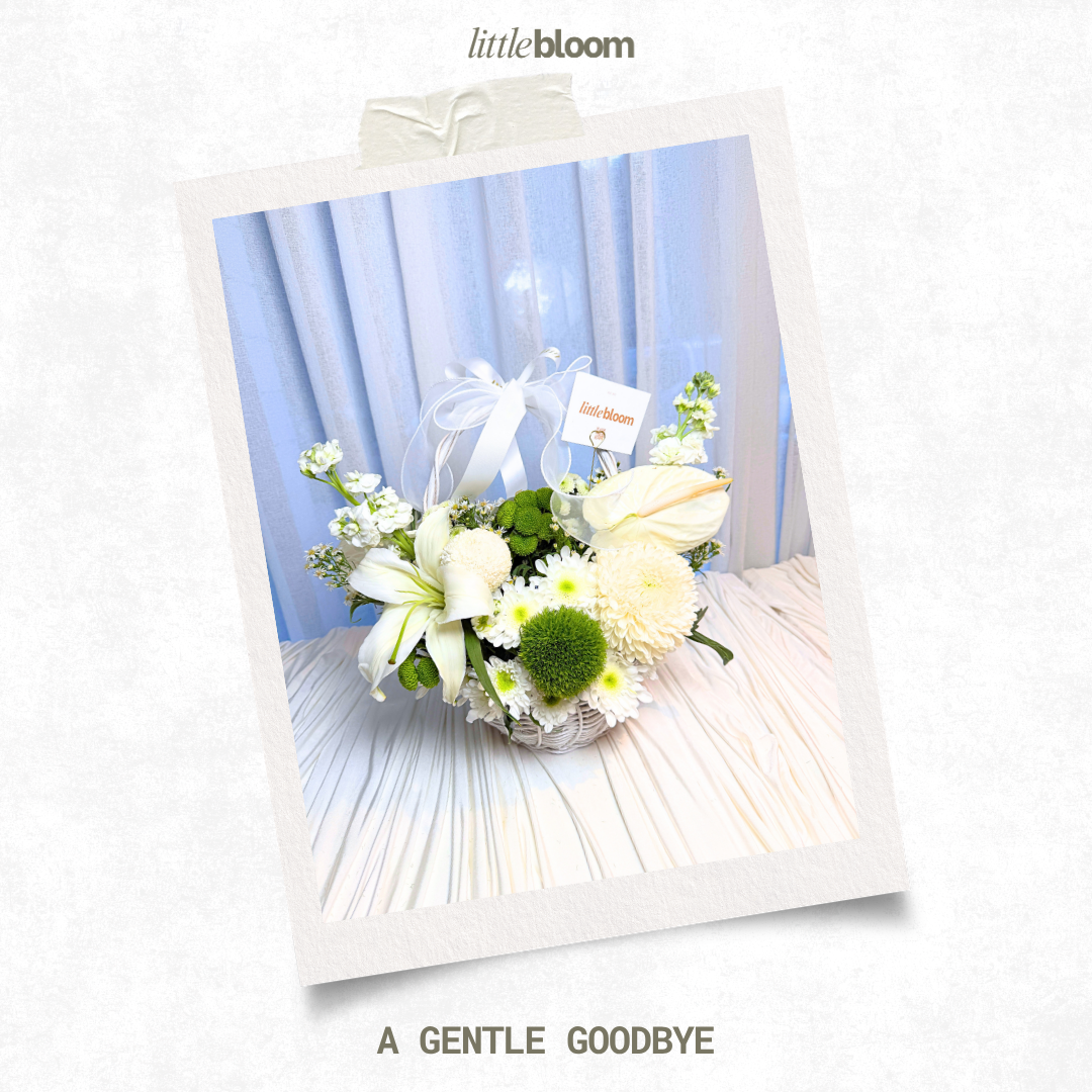 A Gentle Goodbye