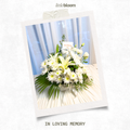 In Loving Memory